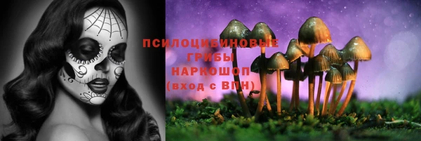 гидра Алексеевка
