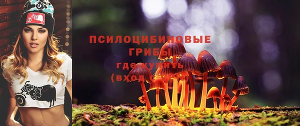 кокс Алексин